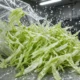cyclospora outbreak recalled iceberg lettuce Taylor Farms