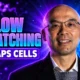 Mizzou Cheng flow matching virtual cell review