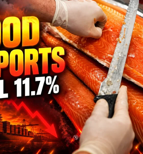 UK food export volumes fall 11.7% in H1 2026