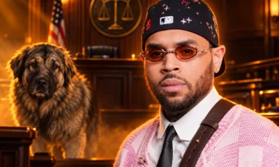 Chris Brown housekeeper accepts $9.5 million settlement
