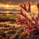 Irish sea moss US sales hit $53.3 million