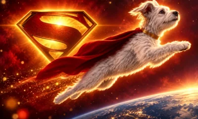 Krypto Saves the Day Season 2A on HBO Max