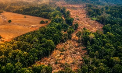 Amazon deforestation record low Brazil Prodes data