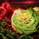 Taylor Farms iceberg lettuce Class I cyclospora recall